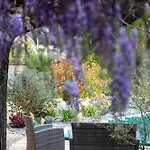 Nocleg ze śniadaniem O'myosotis - 400m Centre Historique - Parking Gratuit - Piscine Et Jardin Sarlat-la-Canéda