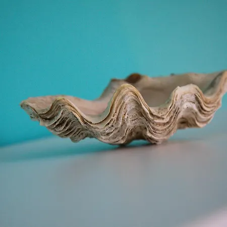 O'myosotis - 400m Centre Historique - Parking Gratuit - Piscine Et Jardin Bed & Breakfast 4*