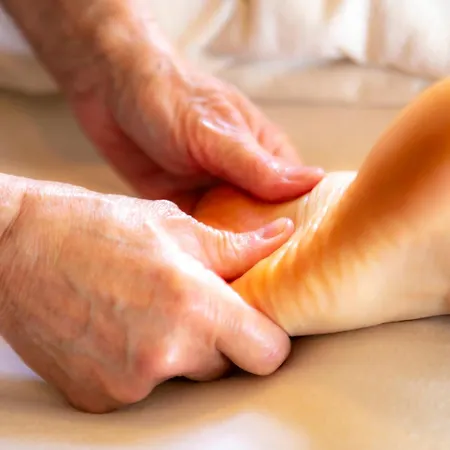 Bed and Breakfast O'myosotis - 400m Centre Historique - Parking Gratuit - Piscine Et Jardin