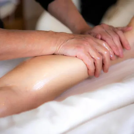 O'myosotis - 400m Centre Historique - Parking Gratuit - Piscine Et Jardin 4*