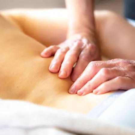 O'myosotis - 400m Centre Historique - Parking Gratuit - Piscine Et Jardin 4* Sarlat-la-Caneda