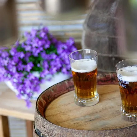 O'myosotis - 400m Centre Historique - Parking Gratuit - Piscine Et Jardin Bed and Breakfast Sarlat-la-Caneda