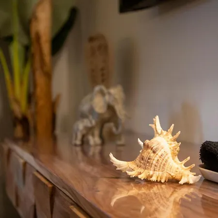 Bed & Breakfast O'myosotis - 400m Centre Historique - Parking Gratuit - Piscine Et Jardin Sarlat-la-Canéda