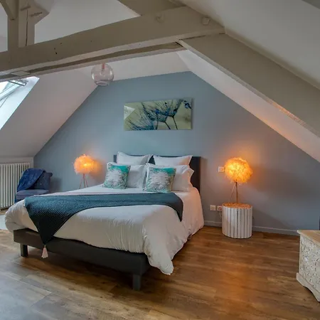 Bed and Breakfast O'myosotis - 400m Centre Historique - Parking Gratuit - Piscine Et Jardin 4*