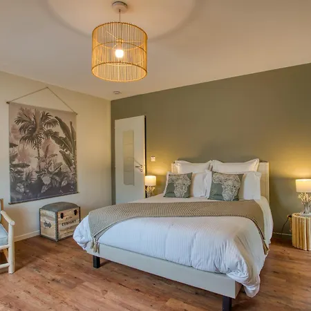 O'myosotis - 400m Centre Historique - Parking Gratuit - Piscine Et Jardin