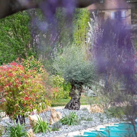 O'myosotis - 400m Centre Historique - Parking Gratuit - Piscine Et Jardin 4* Sarlat-la-Canéda