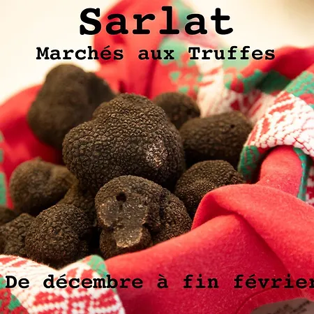 O'myosotis - 400m Centre Historique - Parking Gratuit - Piscine Et Jardin Sarlat-la-Canéda