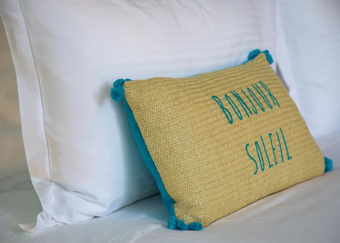 Bed & Breakfast O'myosotis - 400m Centre Historique - Parking Gratuit - Piscine Et Jardin Sarlat-la-Caneda