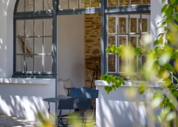 O'myosotis - 400m Centre Historique - Parking Gratuit - Piscine Et Jardin