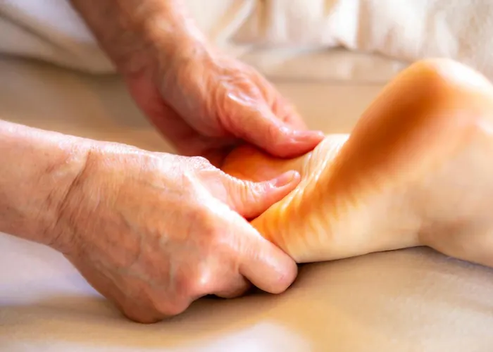 Bed & Breakfast O'myosotis - 400m Centre Historique - Parking Gratuit - Piscine Et Jardin