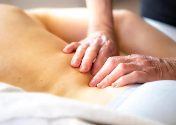 O'myosotis - 400m Centre Historique - Parking Gratuit - Piscine Et Jardin 4* Sarlat-la-Caneda